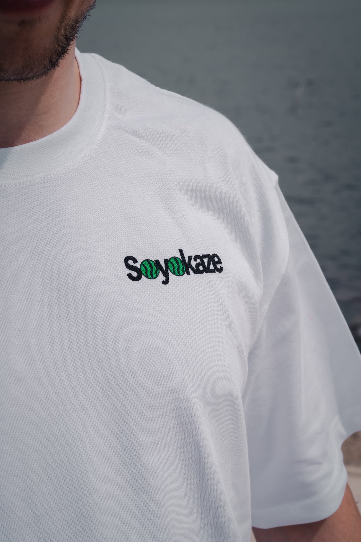 ShortTee_White_Suikawari(Limited)